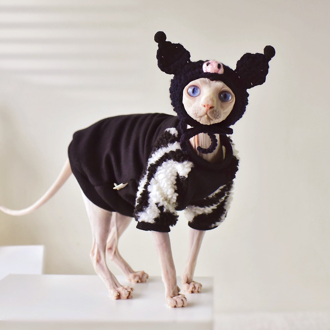 Imps Cotton Hoodie for Sphynx and Devon Rex Cats