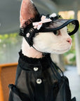 Black lace princess hat with pink bow on a Devon Rex cat wearing a black organza dress
