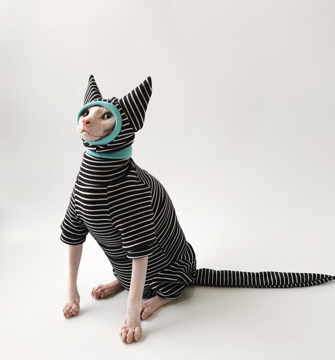 Striped Suit with Hat and Tail Cover