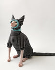 Striped Suit with Hat and Tail Cover