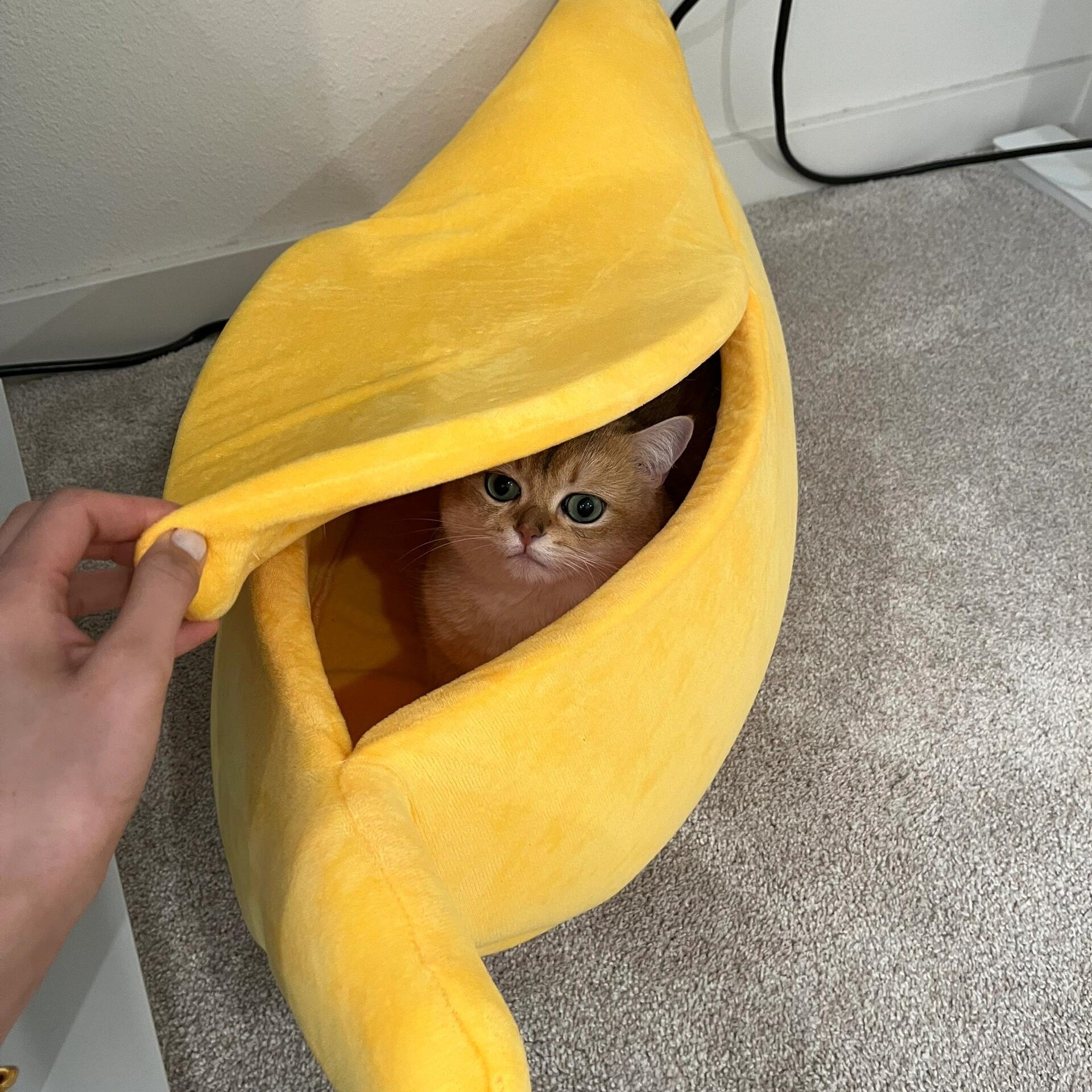 Banana-Shaped Semi-Enclosed Pet Bed