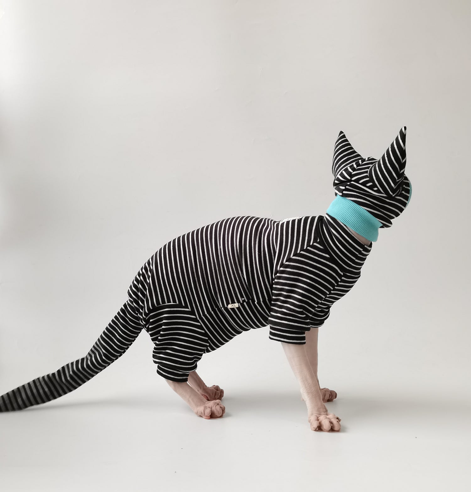 Striped Suit with Hat and Tail Cover