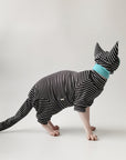 Striped Suit with Hat and Tail Cover