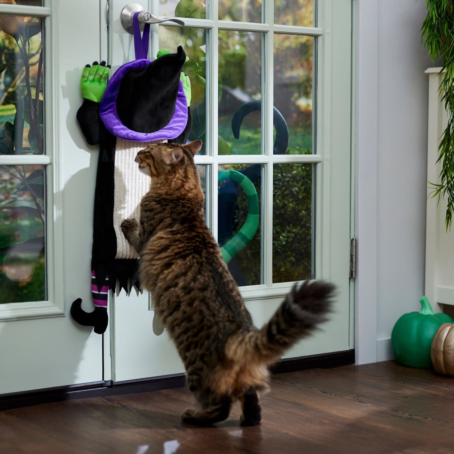 ハロウィン魔女ドアハンガー猫スクラッサー