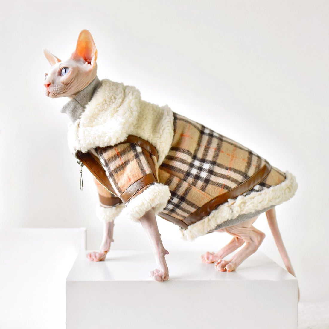 Warm Protect Coat Lamb Fur & Check Collar Sphynx Cat Clothes