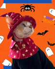 Cat wearing red gothic mage hat and cape Halloween costume with ear cutout design