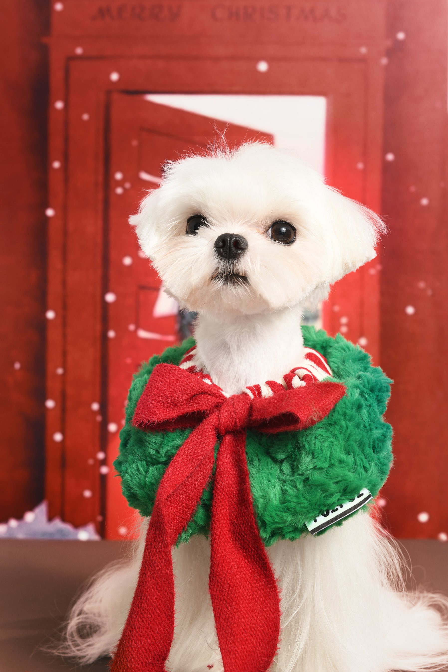Christmas Holiday Hat and Scarf for Cat and Dog