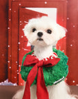 Christmas Holiday Hat and Scarf for Cat and Dog
