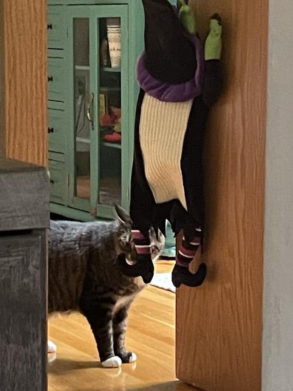 ハロウィン魔女ドアハンガー猫スクラッサー