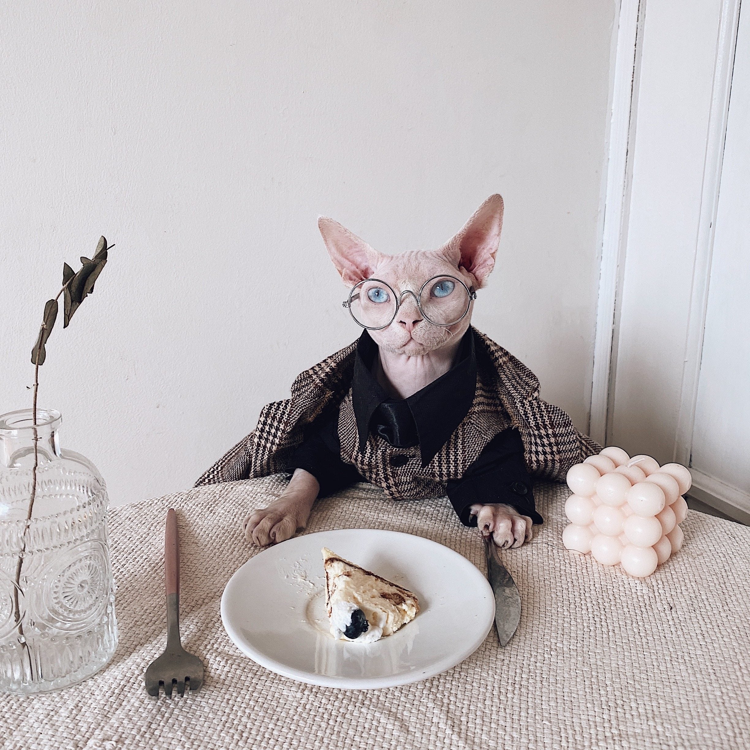 Tweed Three-Piece Suit for SphynxCat