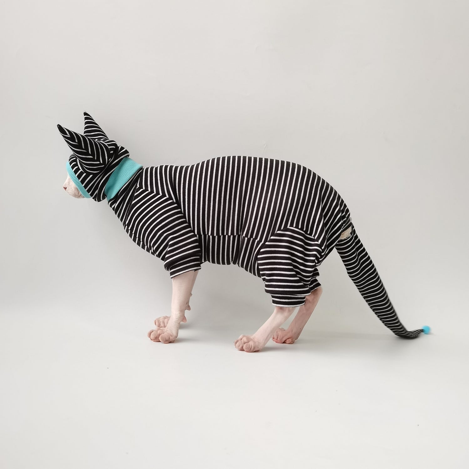Striped Suit with Hat and Tail Cover