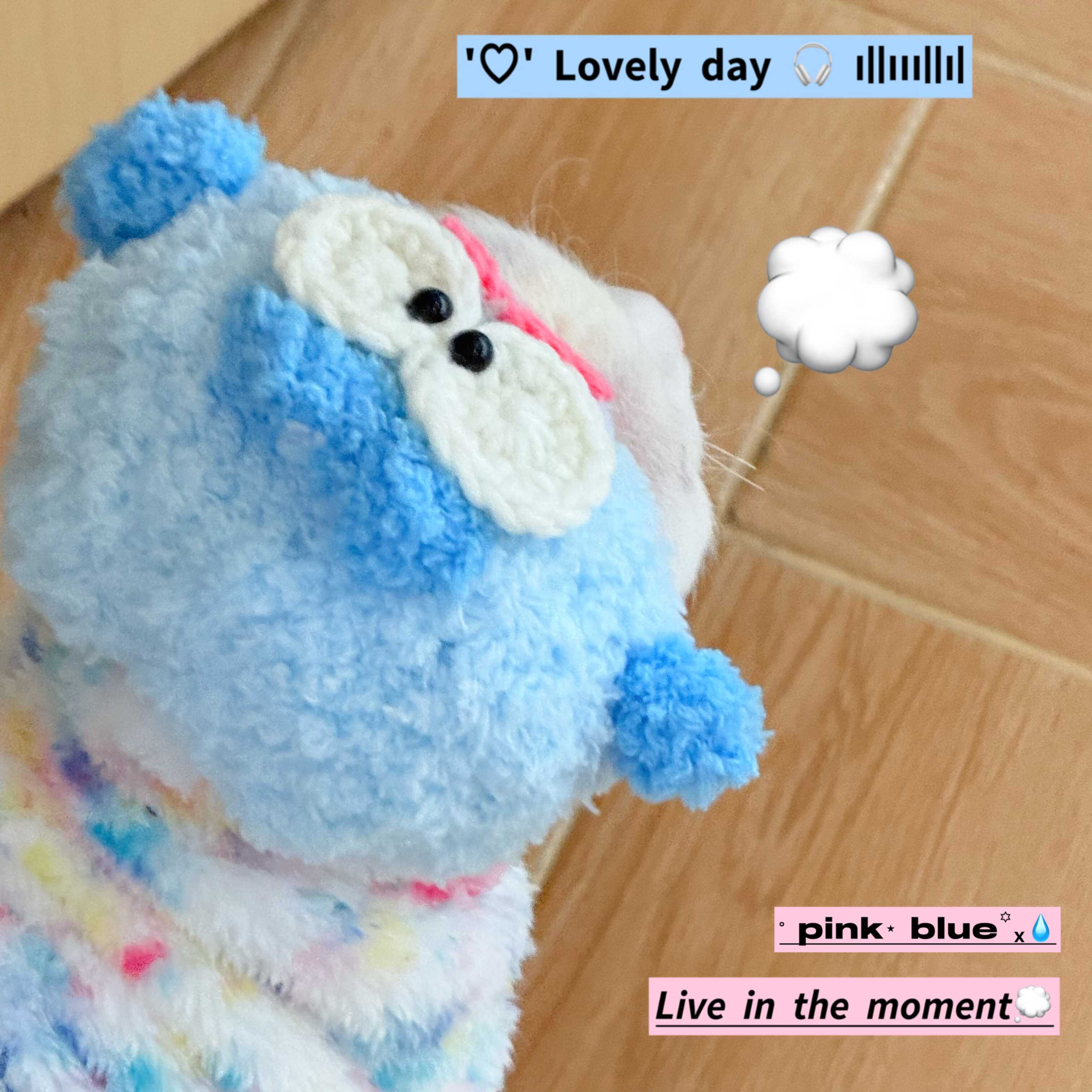 Rainbow Bunny Fleece Onesies SphynxCat DevonRex Clothes