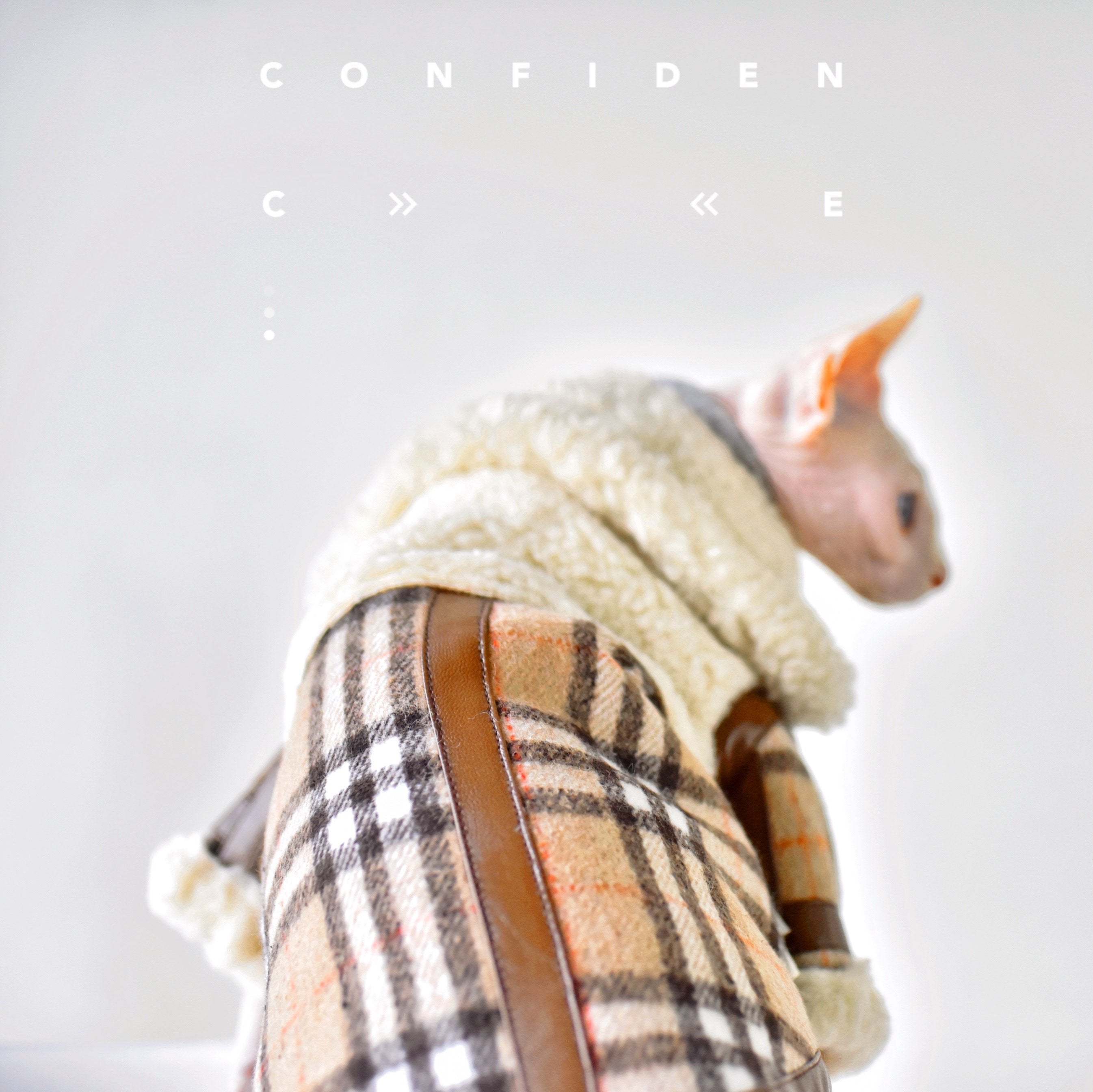 Warm Protect Coat Lamb Fur & Check Collar Sphynx Cat Clothes