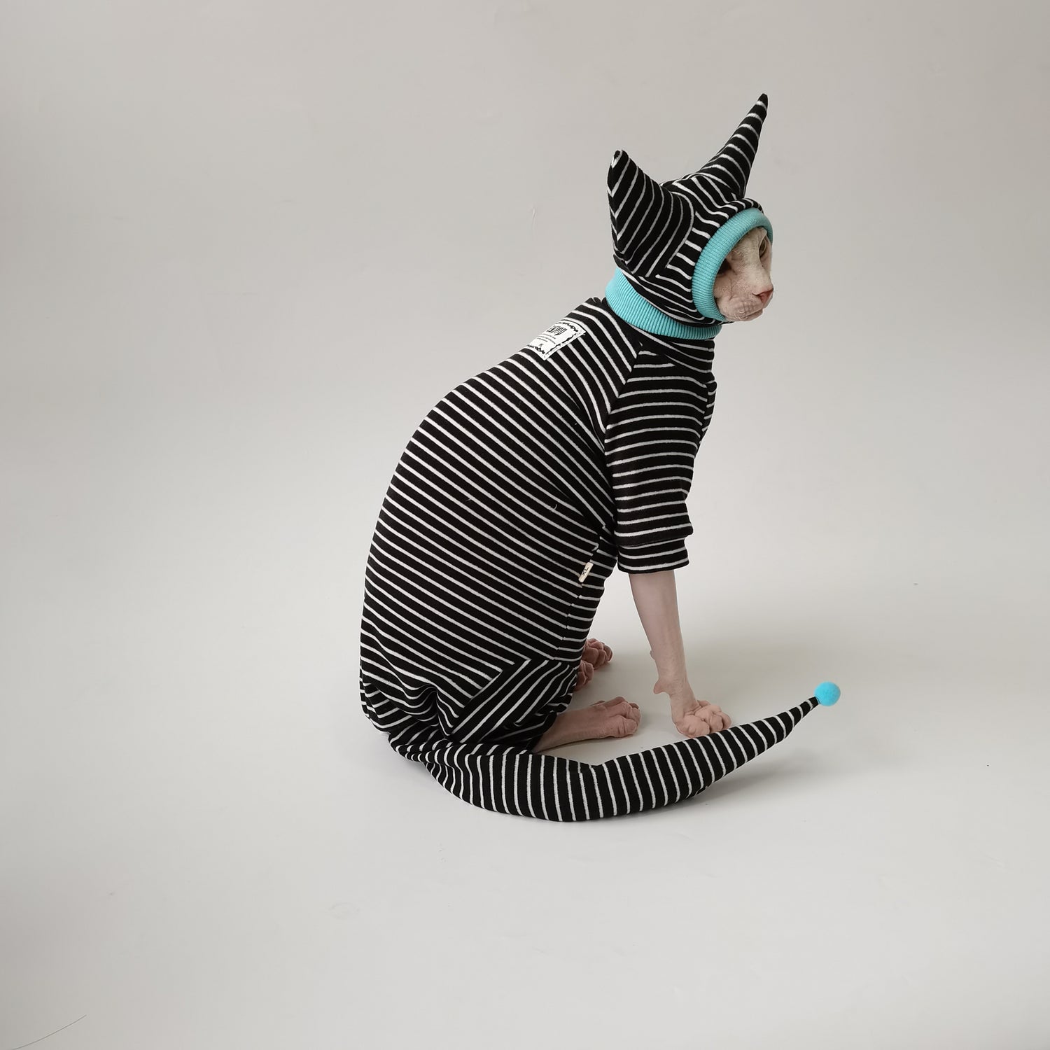 Striped Suit with Hat and Tail Cover