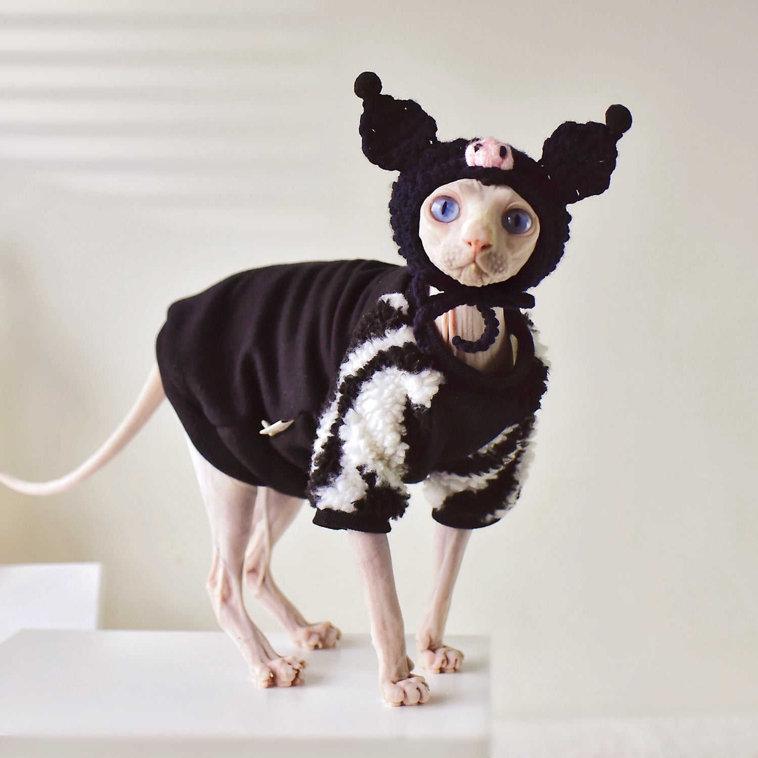 Imps Cotton Hoodie for Sphynx and Devon Rex Cats