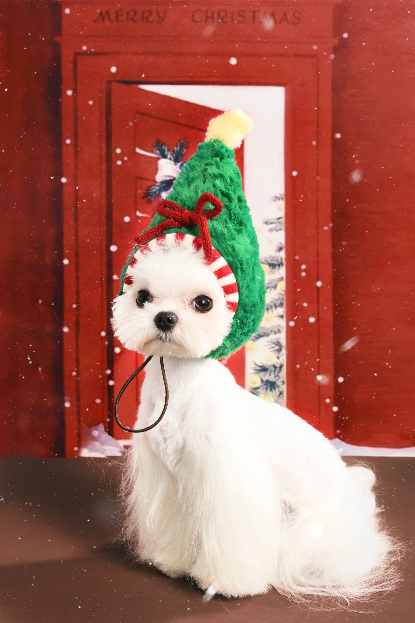 Christmas Holiday Hat and Scarf for Cat and Dog