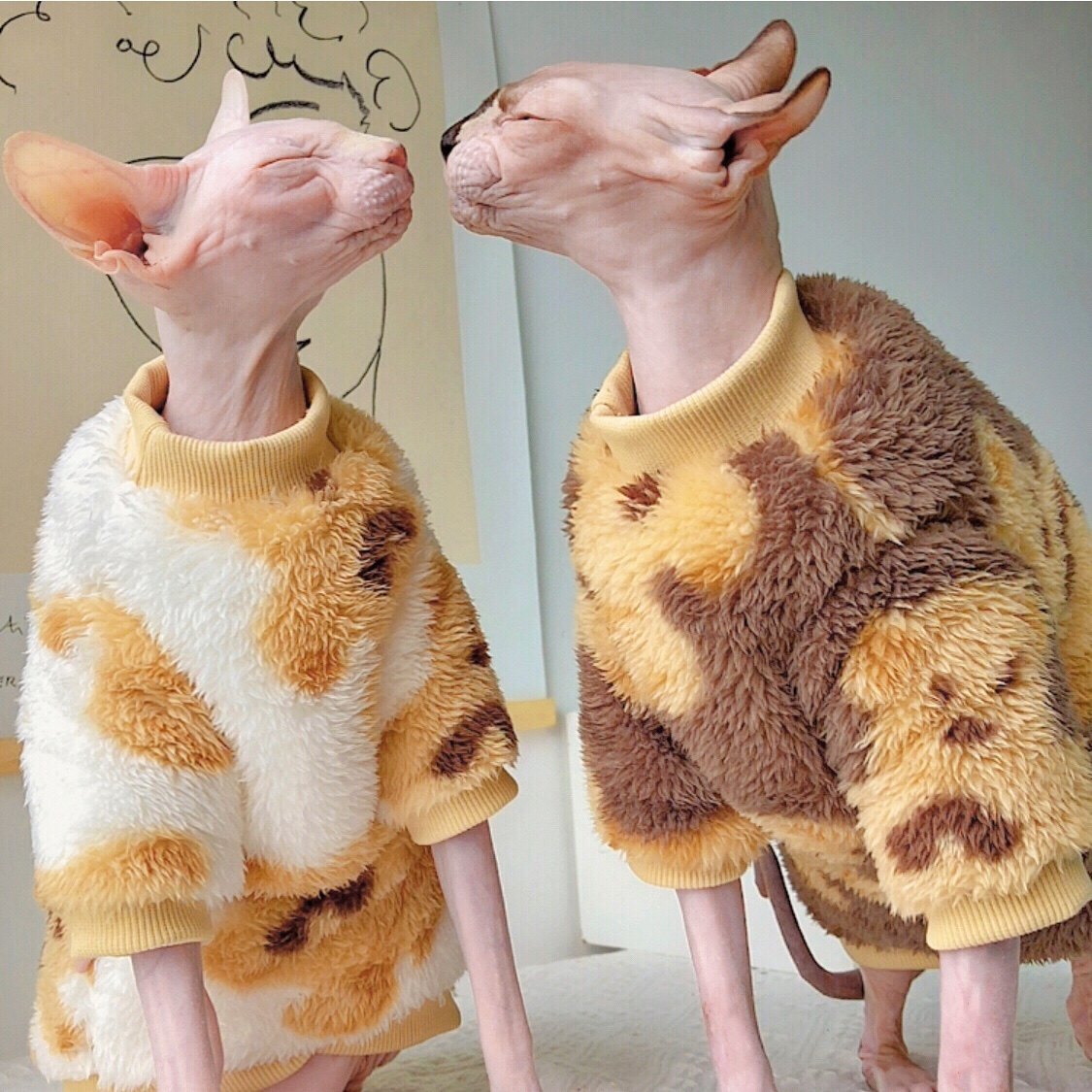 Plush Double-Sided Fleece Little Bear Shirts Sphynx Cat Clothes