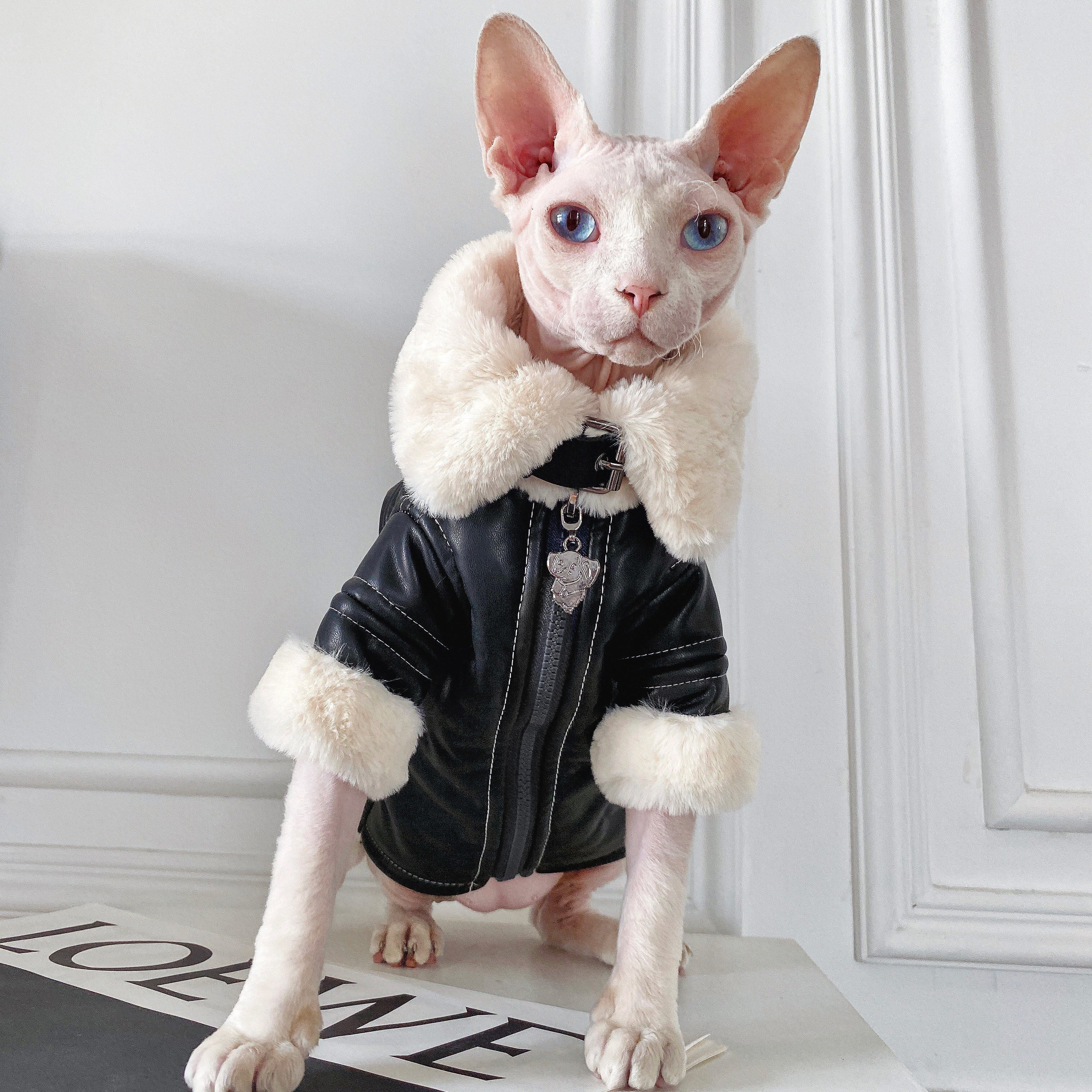 Biker Jacket with Faux Fur Lining for SphynxCat