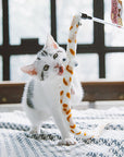 Cat Teaser Wand Caterpillar Toys