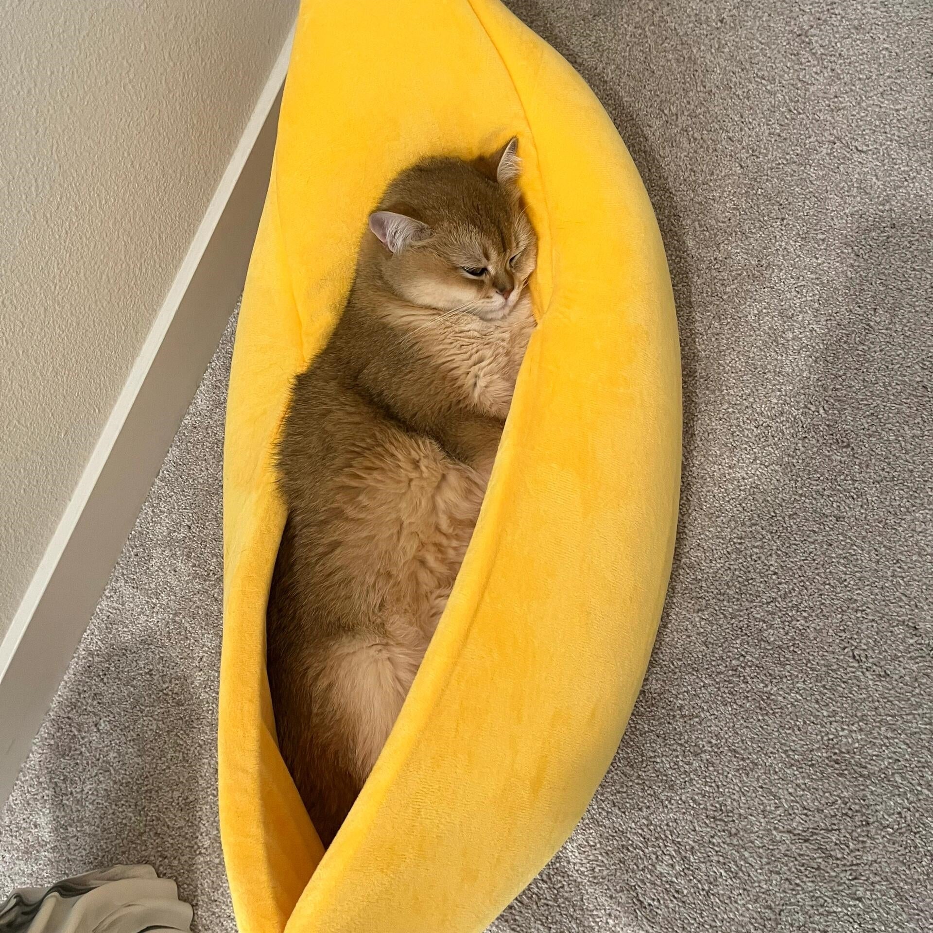 Banana-Shaped Semi-Enclosed Pet Bed