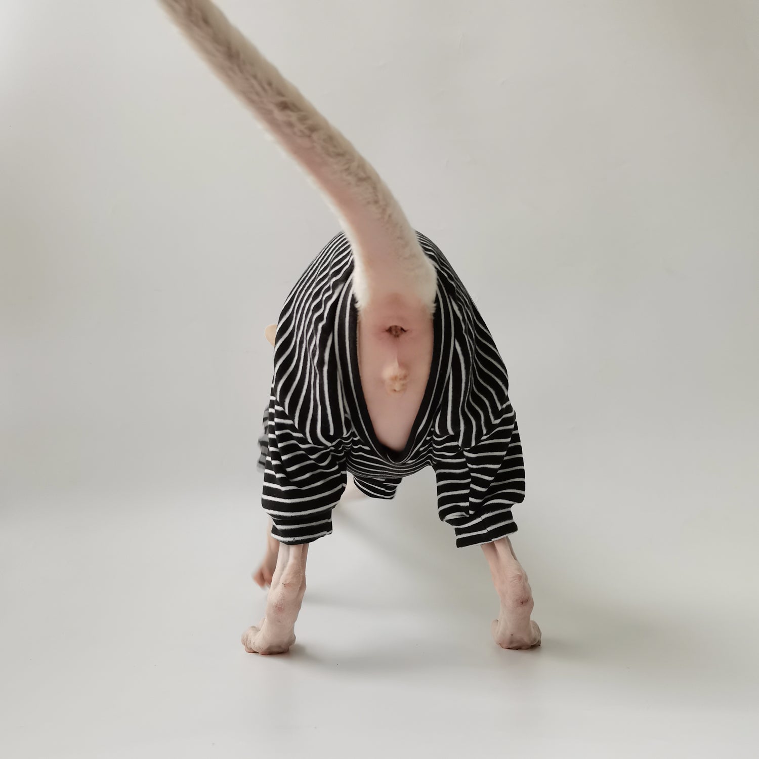 Striped Suit with Hat and Tail Cover