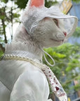 White lace princess hat with bow and curved brim for Devon Rex cats