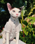 Sphynx cat wearing organza princess dress