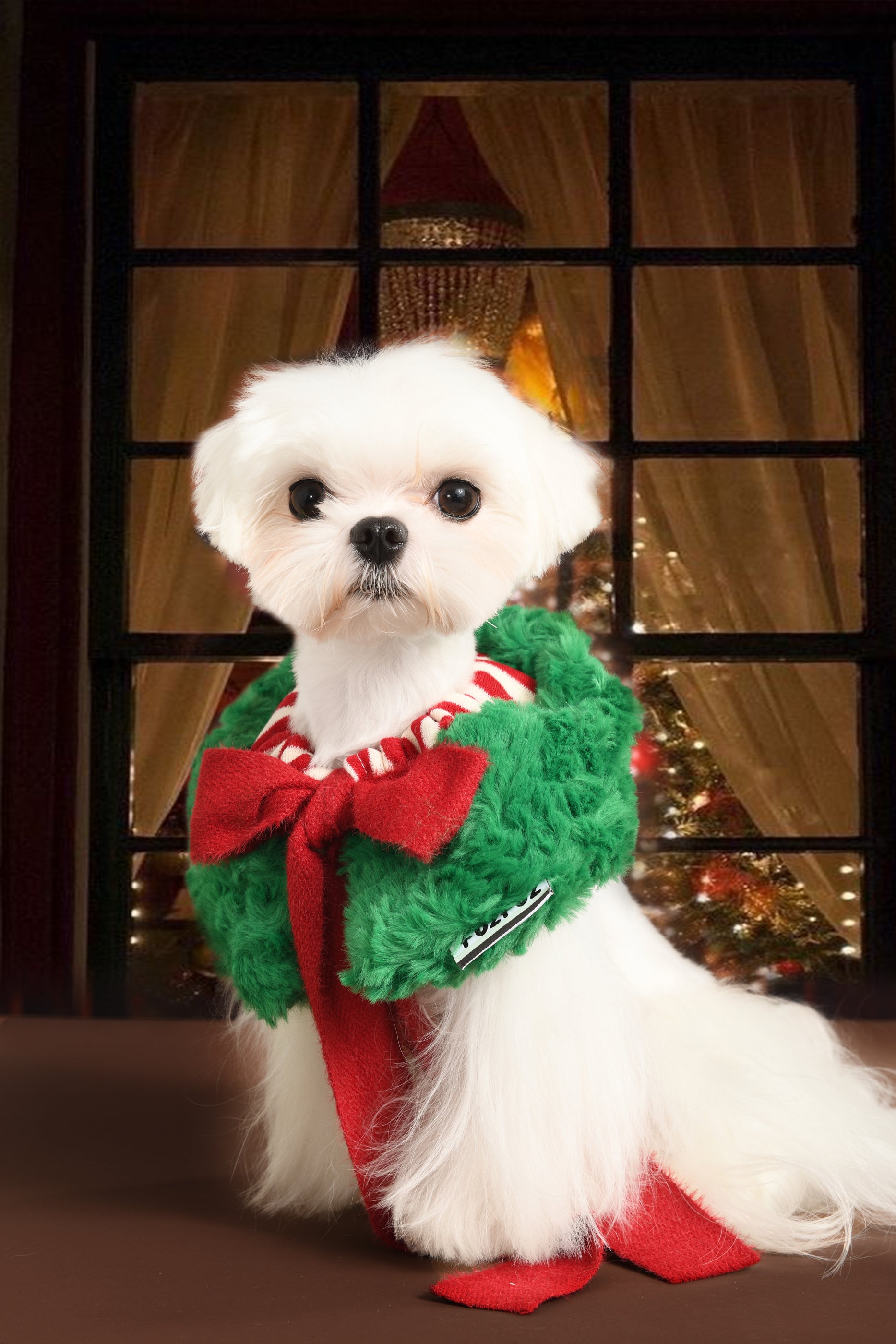 Christmas Holiday Hat and Scarf for Cat and Dog