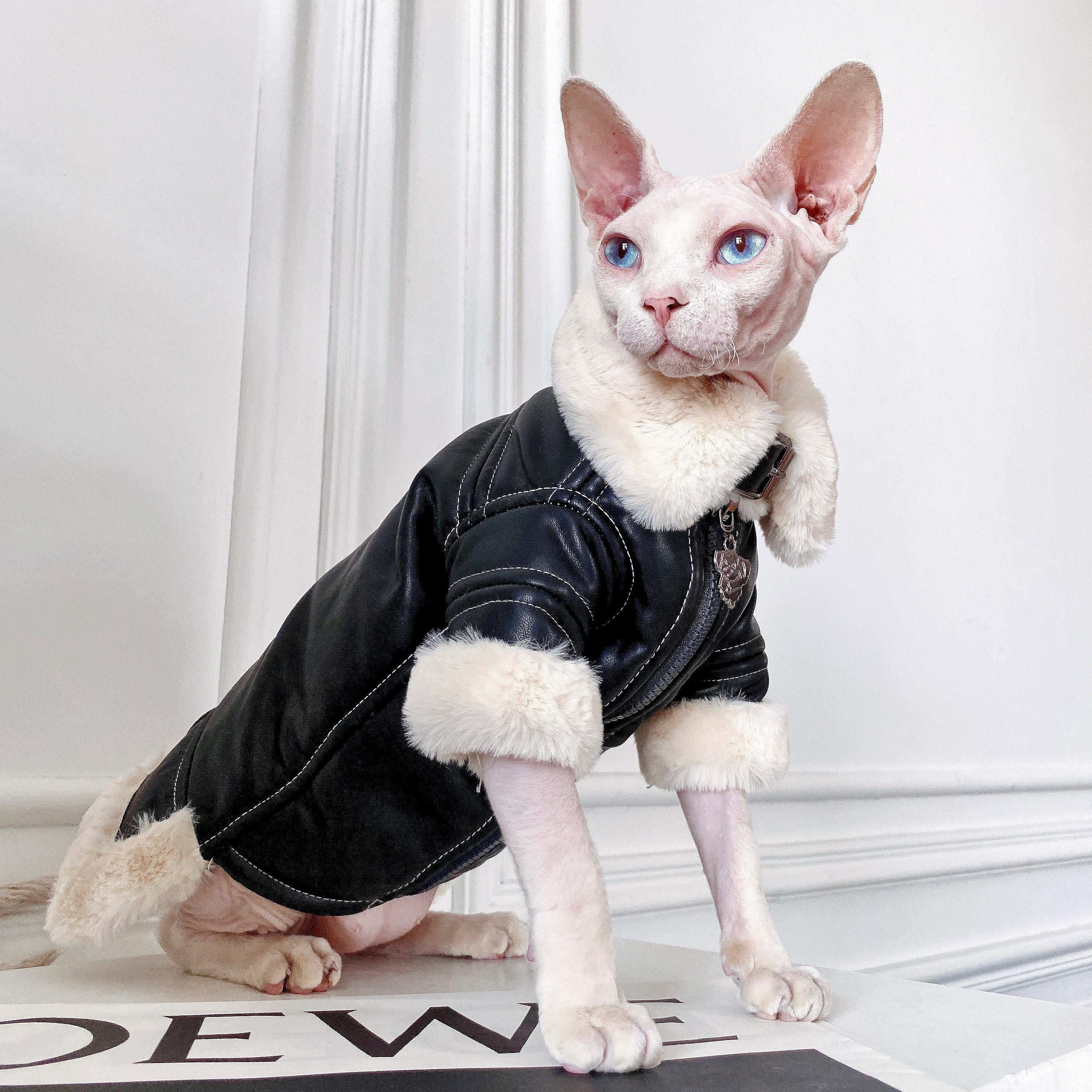 Biker Jacket with Faux Fur Lining for SphynxCat