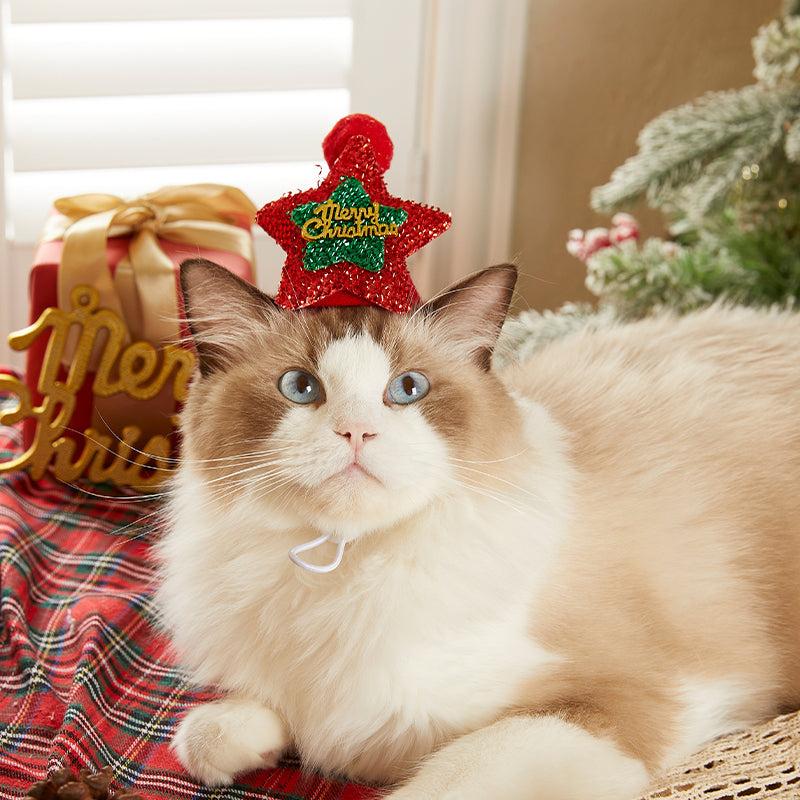 猫犬用クリスマス帽子