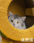 Cat Scratcher Carousel