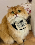 Cat wearing Halloween mage costume bib with embroidered candle and lace trim