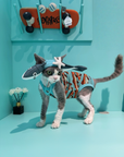 Shark Hat and Salmon Camisole for Sphynx Cat Cute Outfit