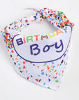 Dog Birthday Toy Set
