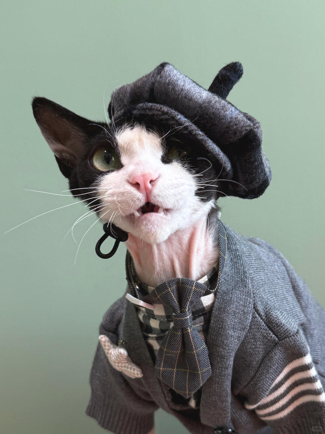 Plaid Wool Beret Hat for Cat