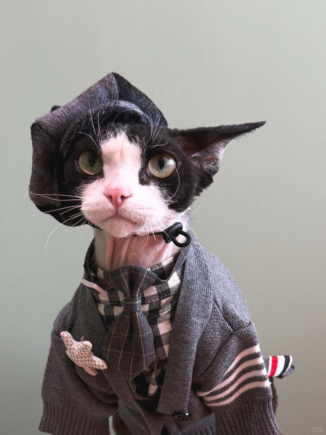 Plaid Wool Beret Hat for Cat