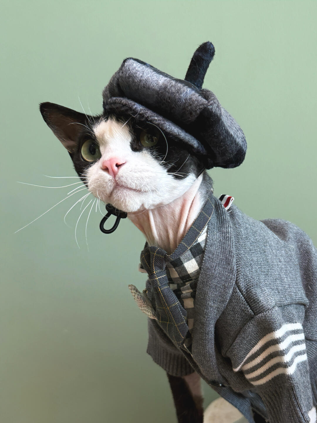 Plaid Wool Beret Hat for Cat