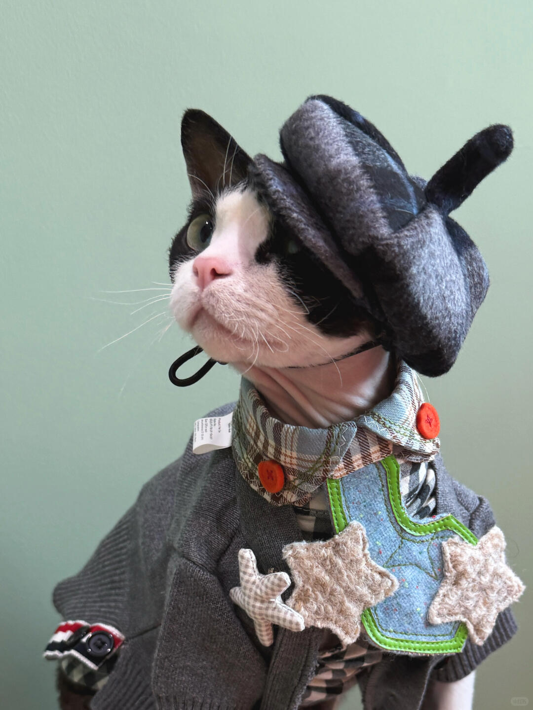 Plaid Wool Beret Hat for Cat