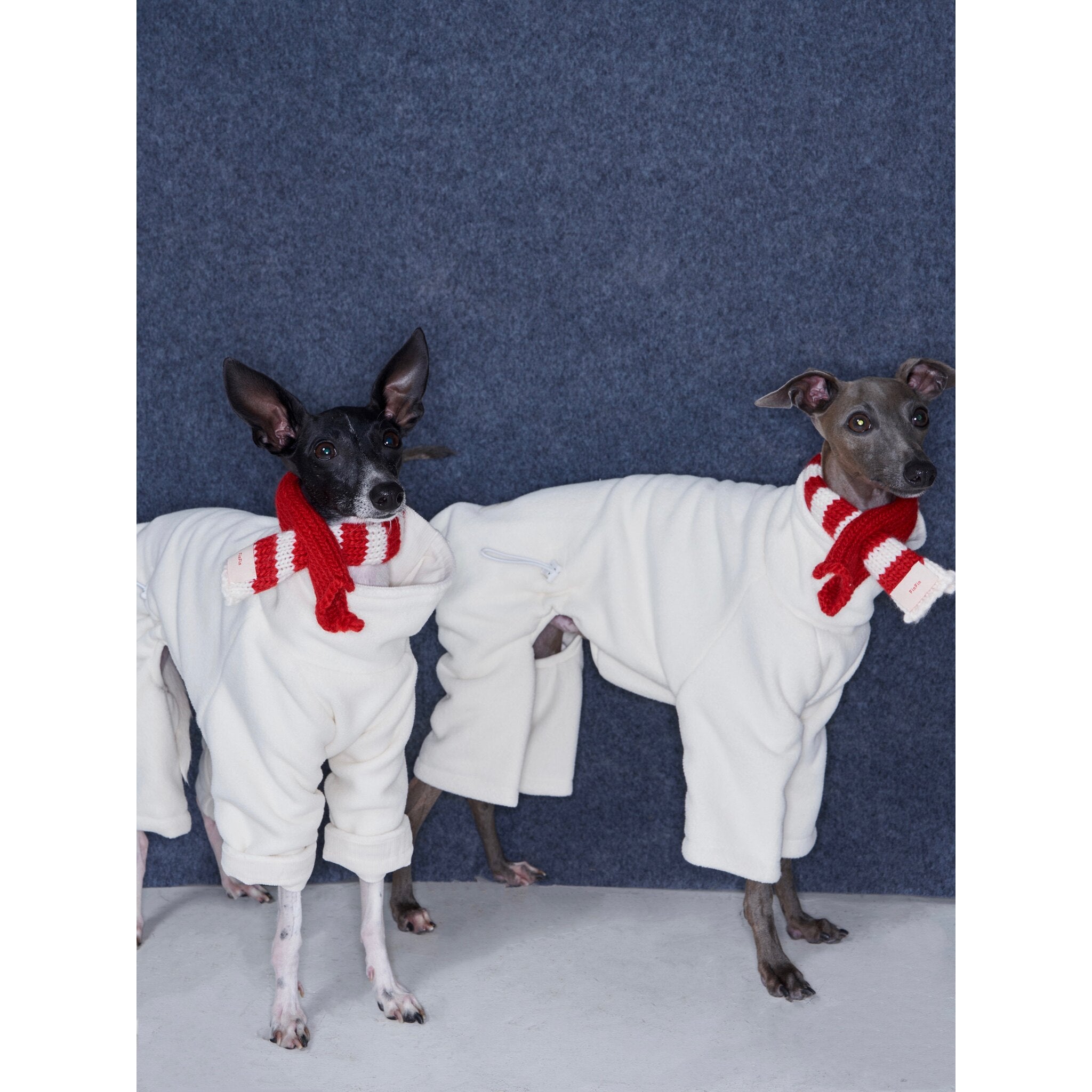 Anti-Static Reversible Fleece Jumpsuit for Greyhounds & Whippets