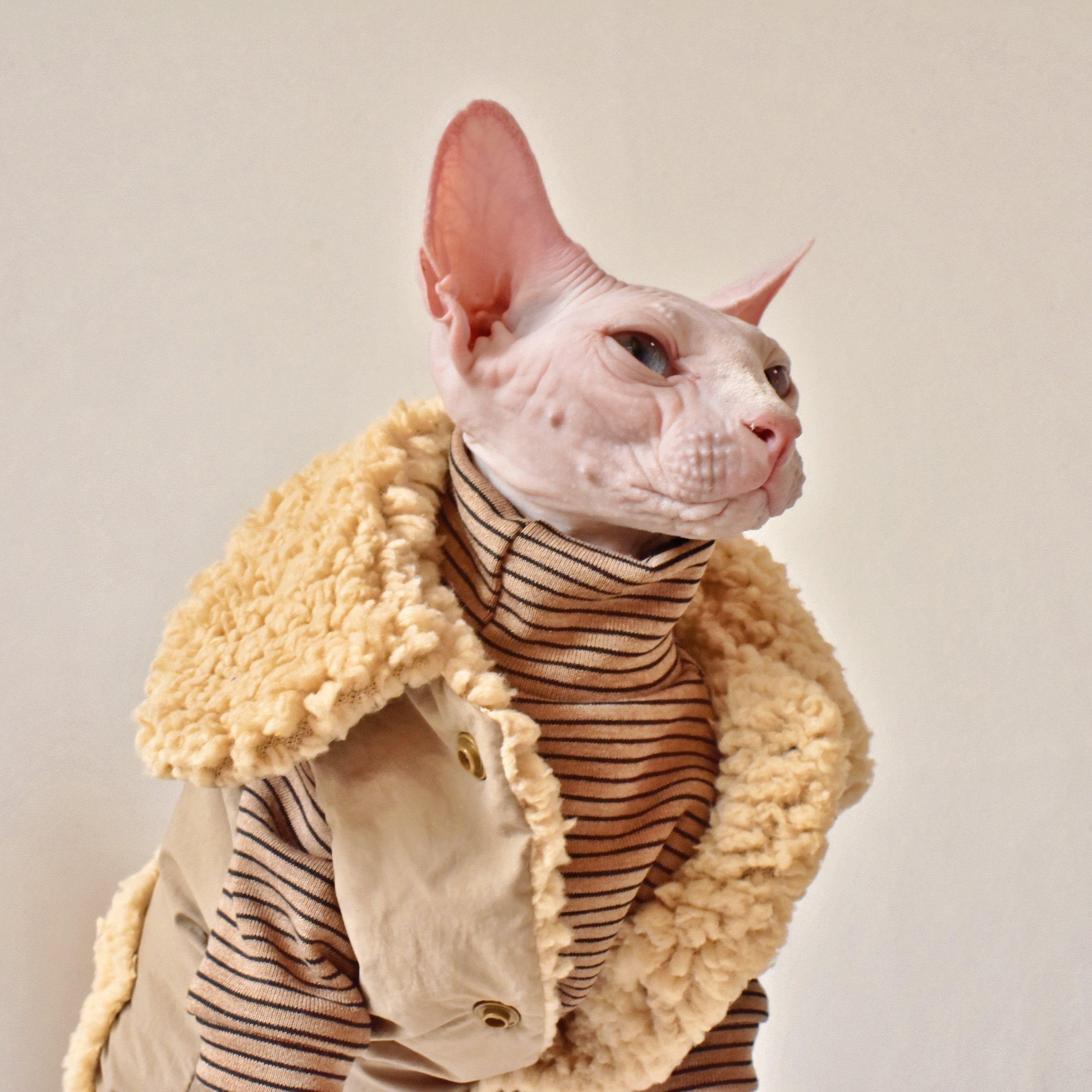 Weatherproof Faux Jacket Sphynx Cat Clothes