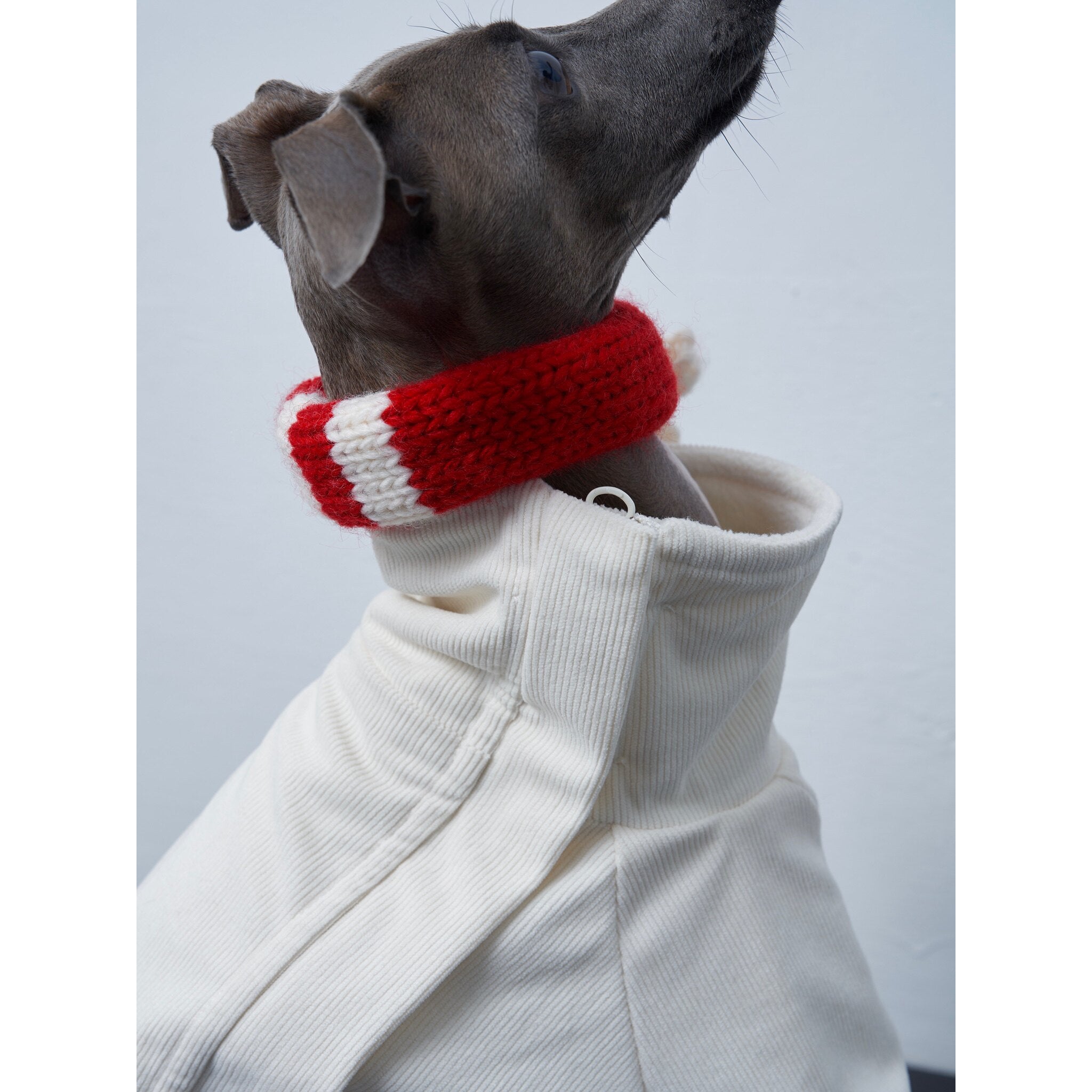 Anti-Static Reversible Fleece Jumpsuit for Greyhounds & Whippets
