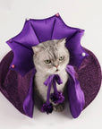 Cat and small dog wearing purple wizard hat and cape costumes