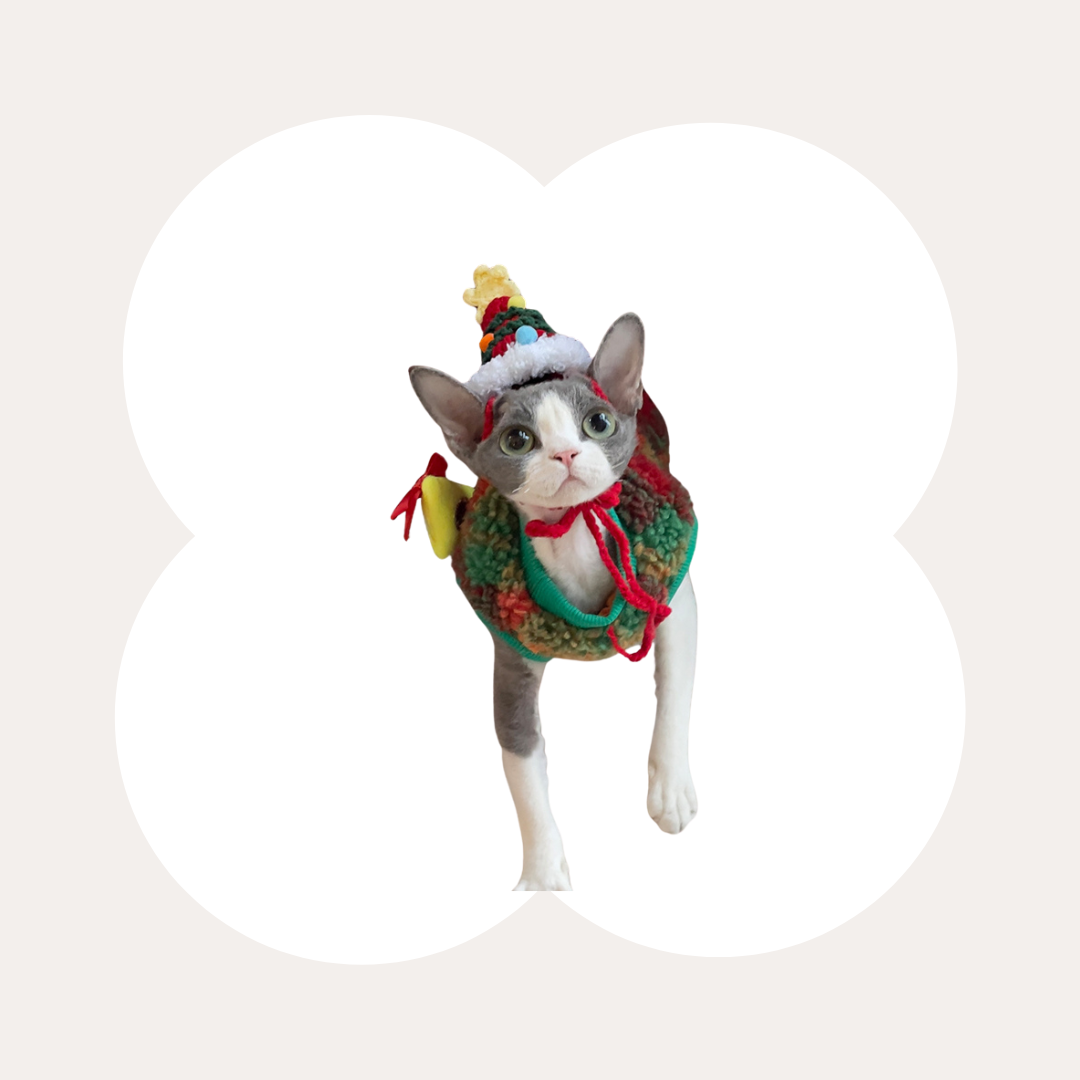クリスマスニット帽