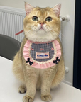 Handmade Pet Bib with Pink Bow