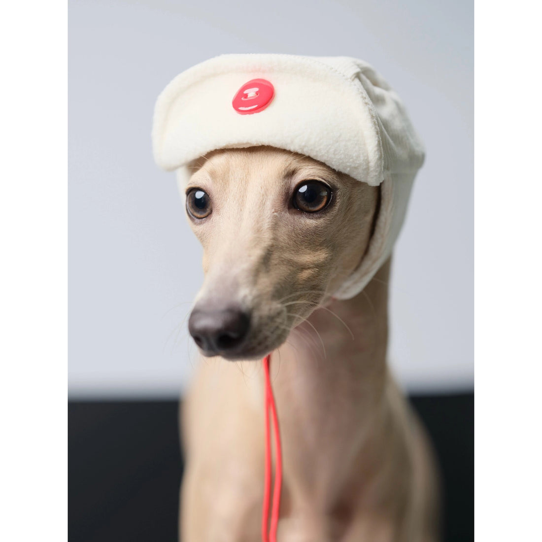 Fleece Aviator Dog Hat for Greyhounds – Warm Cap for Small & Medium Dogs