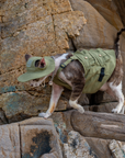 Adventure Gear Vest and Hat