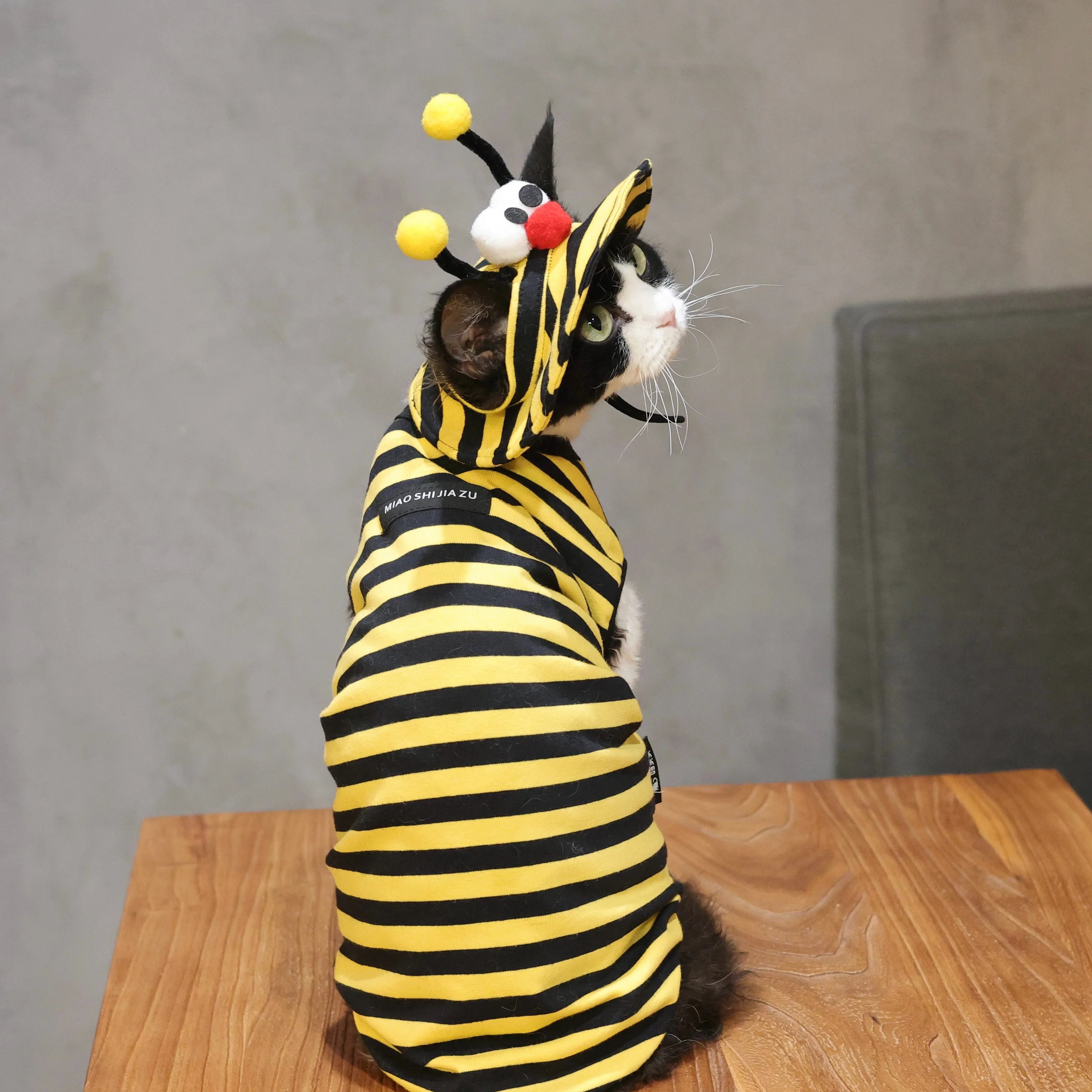 Bee Outfit: Cotton Striped Shirt + Hat DevonRex Sphynx Cat Clothes