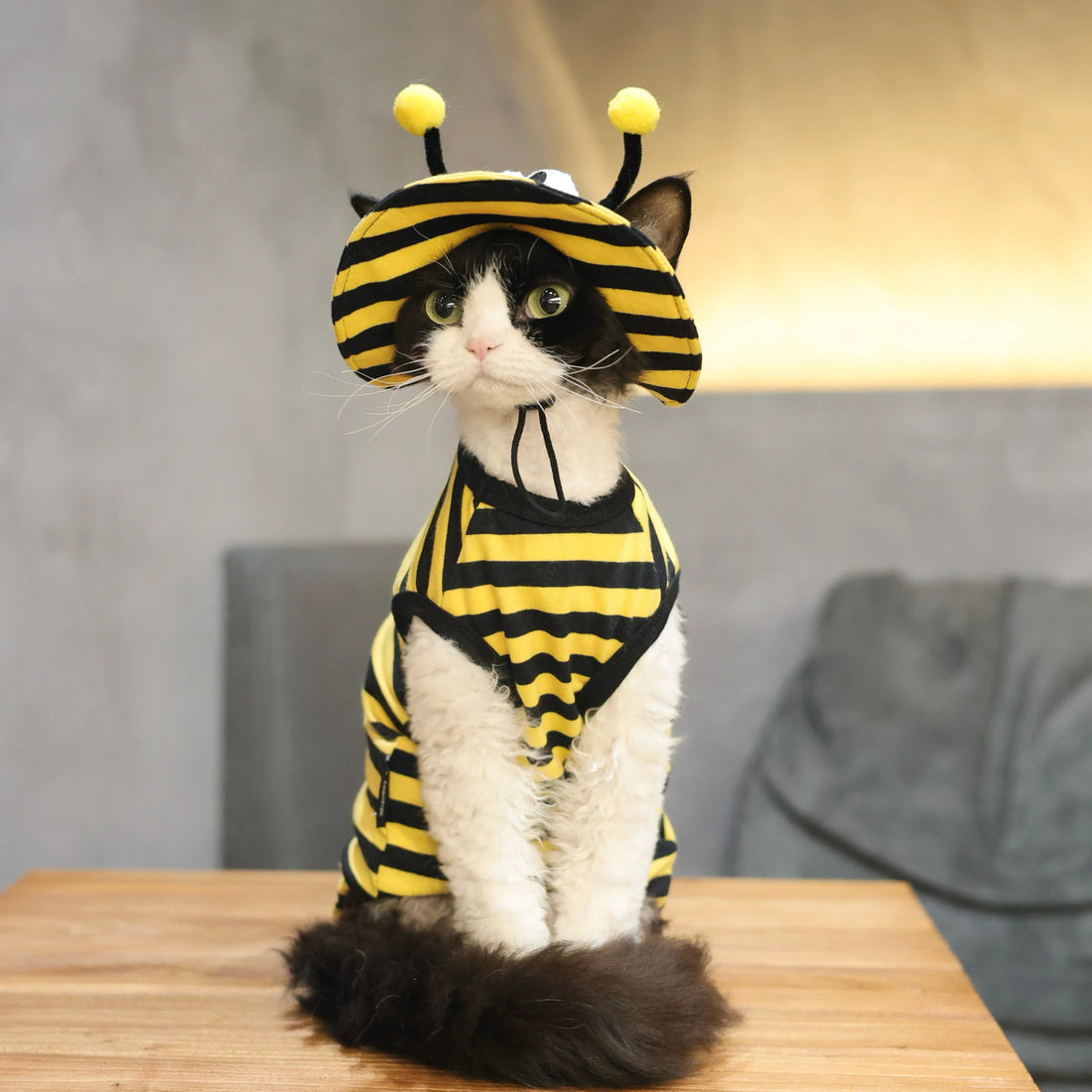 Bee Outfit: Cotton Striped Shirt + Hat DevonRex Sphynx Cat Clothes