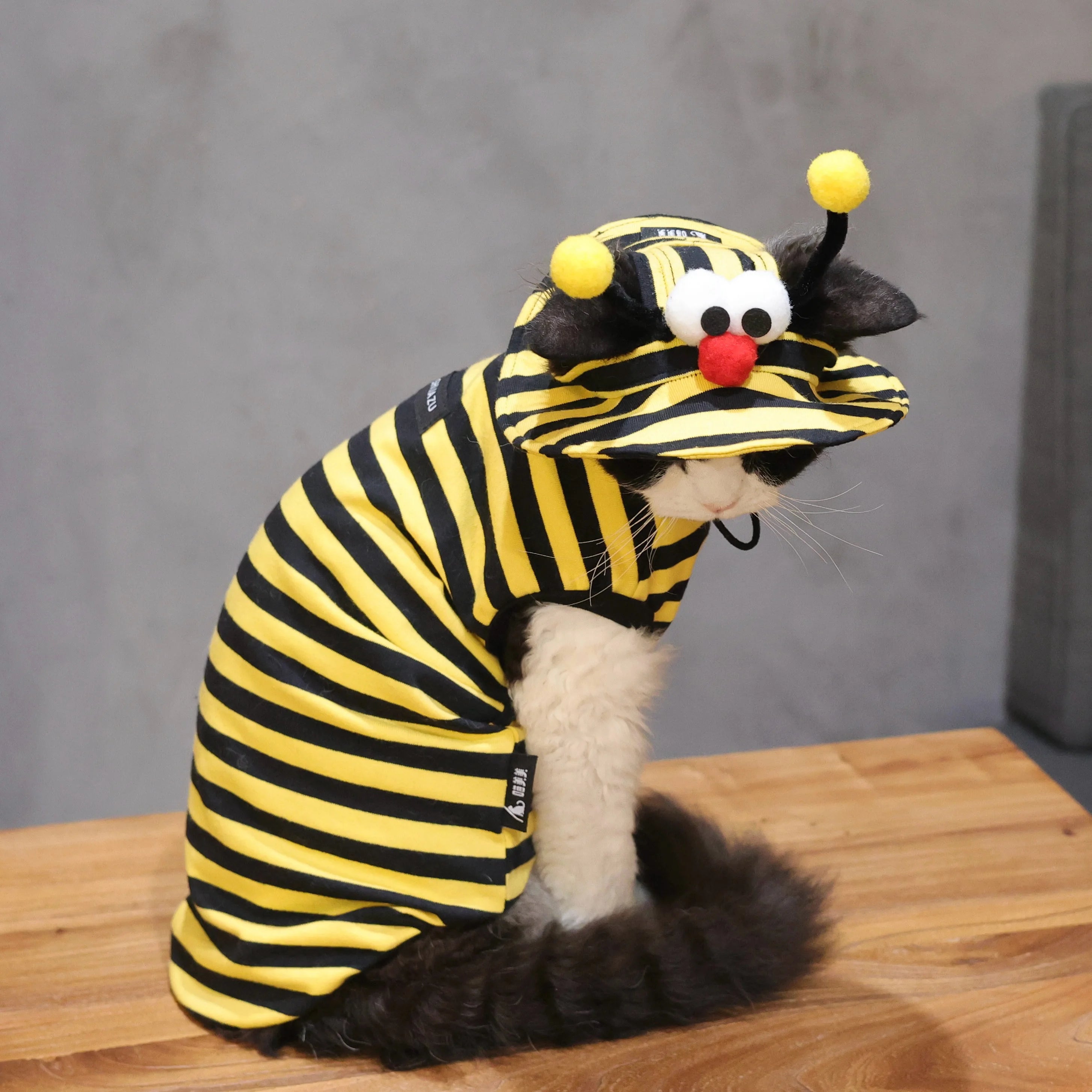 Bee Outfit: Cotton Striped Shirt + Hat DevonRex Sphynx Cat Clothes