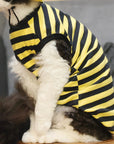 Sphynx Cat Outfit Set – Bee Striped Cotton Shirt & Hat